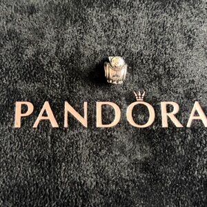 Pandora Silver bird 🐦 charm
